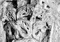 files/capitals/S-DEN-FR/thumbs/S-DEN-FR 0388.jpg